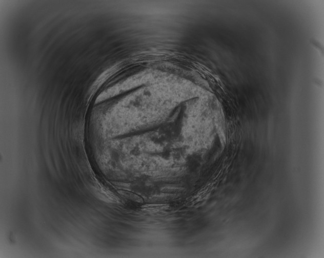 X0000096950051200802291106
