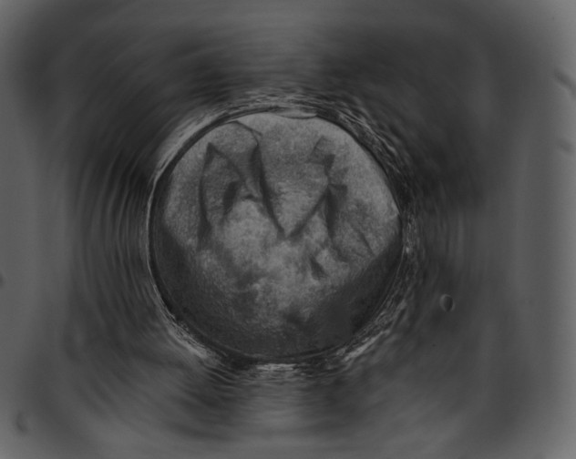 X0000096950052200802291106