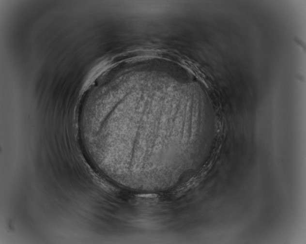 X0000096950053200802291106
