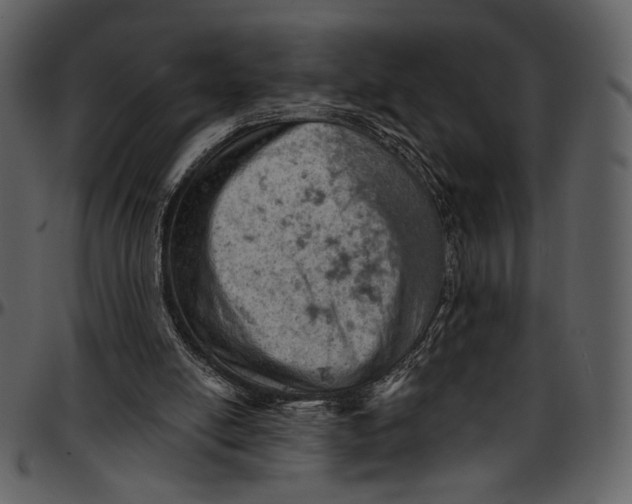 X0000096950054200802291106