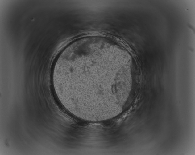 X0000096950055200802291106