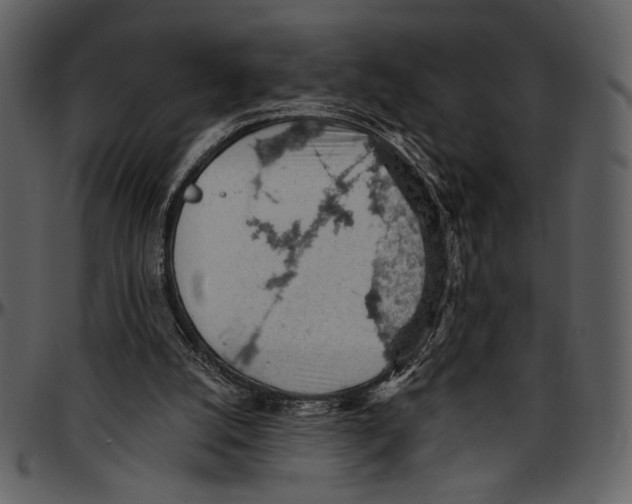 X0000096950056200802291106