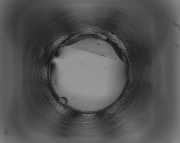 X0000096950057200802291106