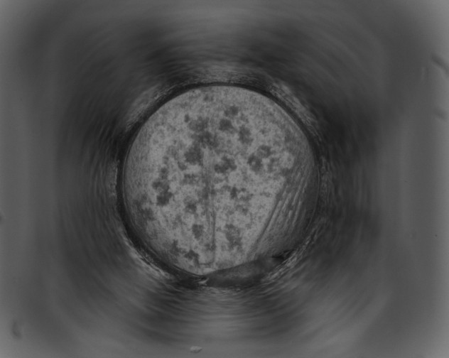 X0000096950058200802291106