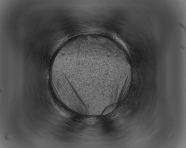 X0000096950059200802291106