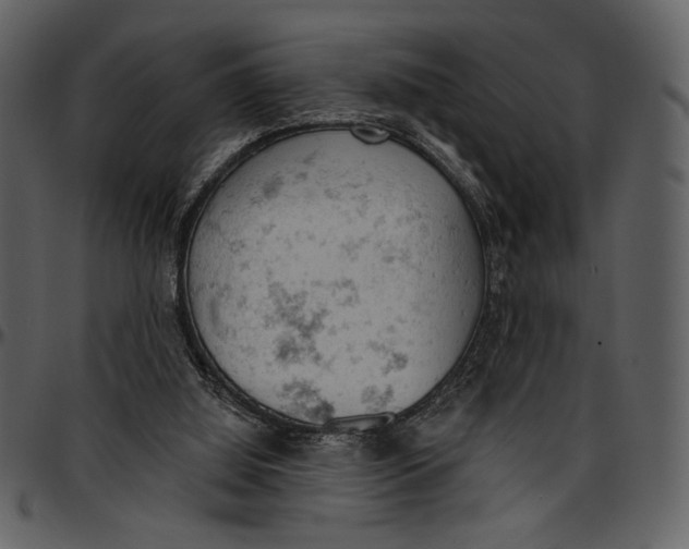 X0000096950060200802291106