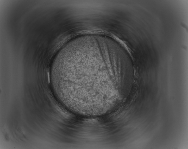 X0000096950061200802291106
