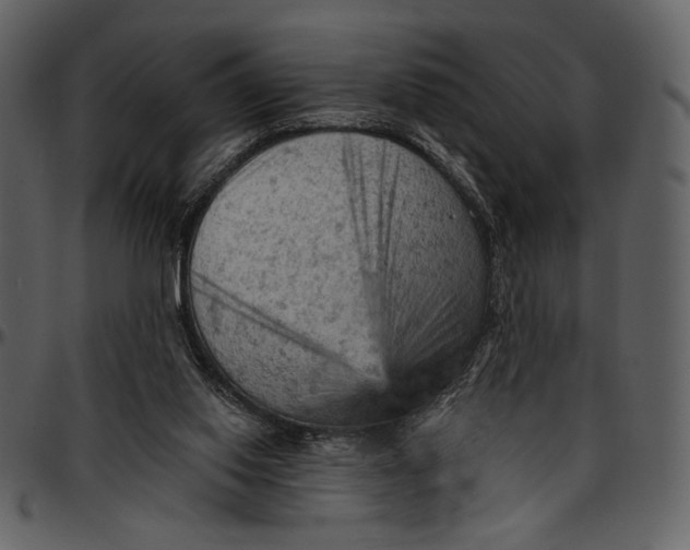 X0000096950062200802291106