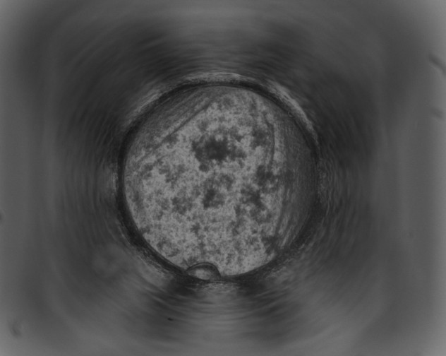 X0000096950063200802291106