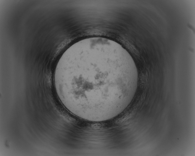 X0000096950064200802291106
