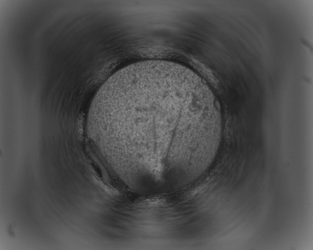 X0000096950065200802291106