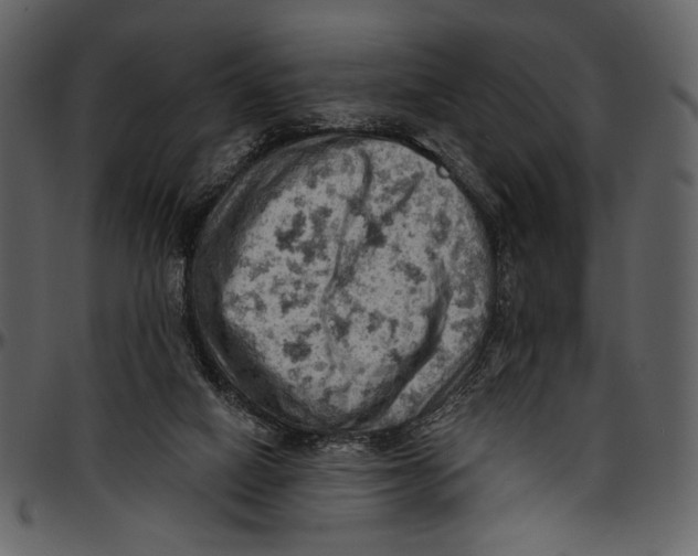 X0000096950066200802291106