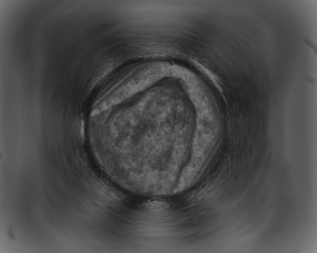 X0000096950067200802291106