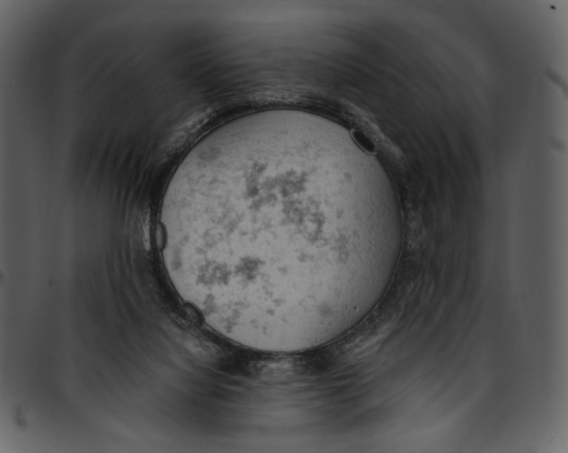 X0000096950068200802291106