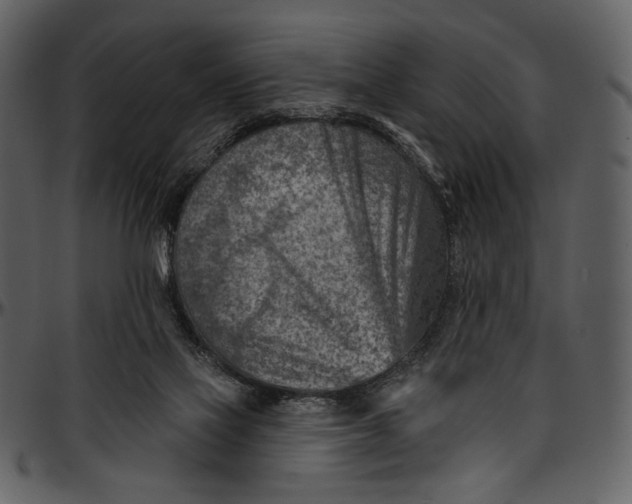 X0000096950069200802291106