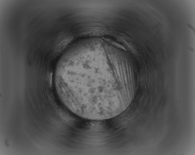 X0000096950070200802291106
