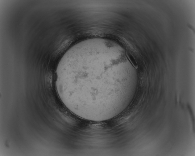 X0000096950072200802291106