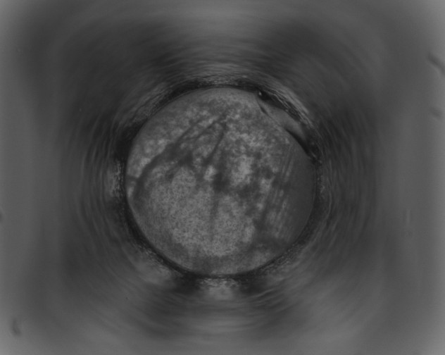 X0000096950073200802291106