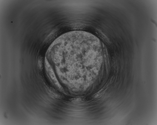 X0000096950074200802291106