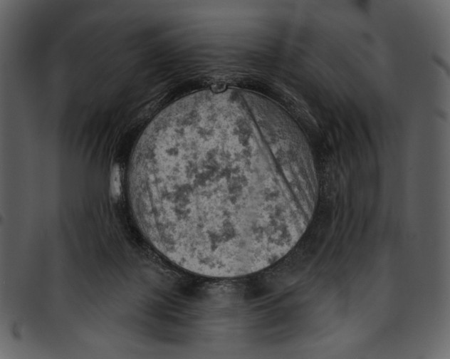 X0000096950075200802291106