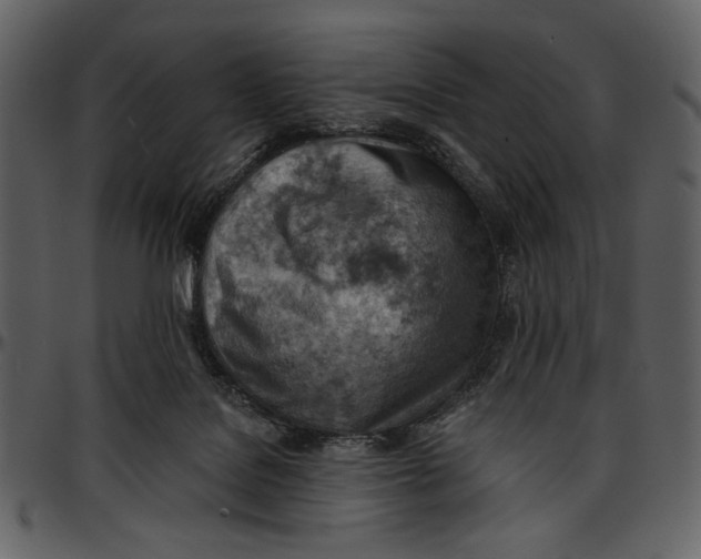 X0000096950076200802291106