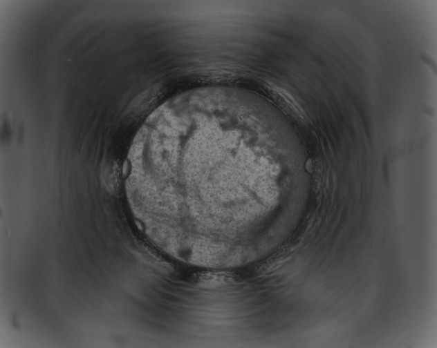 X0000096950077200802291106