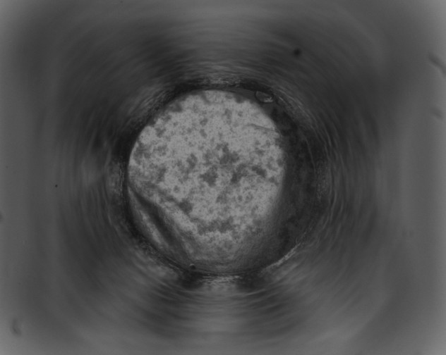 X0000096950078200802291106
