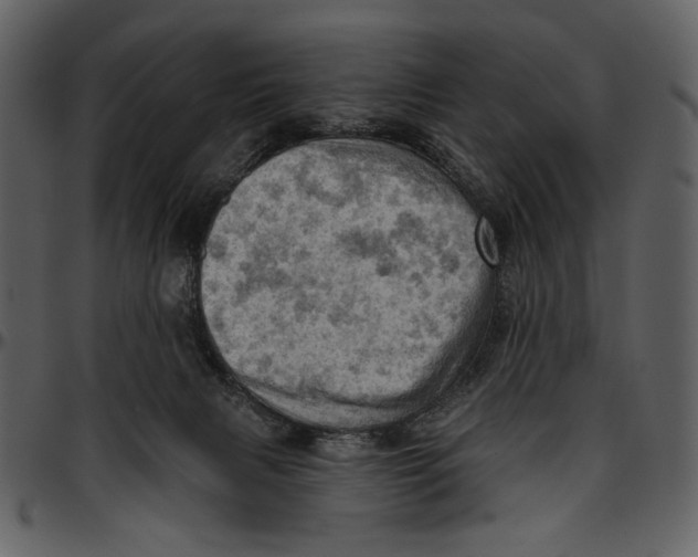 X0000096950079200802291106