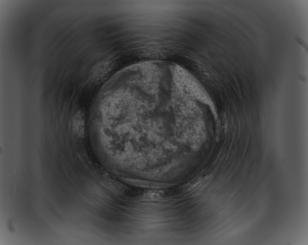 X0000096950080200802291106