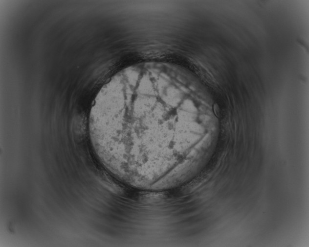 X0000096950081200802291107