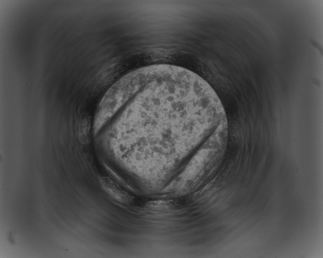 X0000096950082200802291107