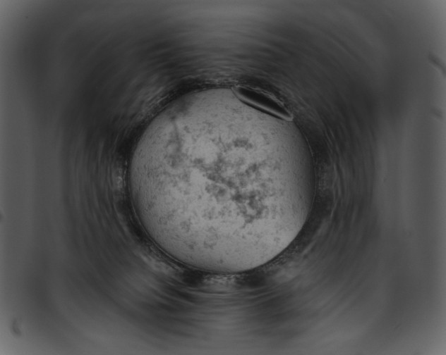 X0000096950084200802291107