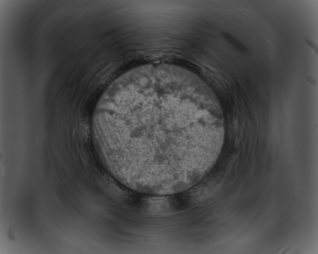 X0000096950085200802291107