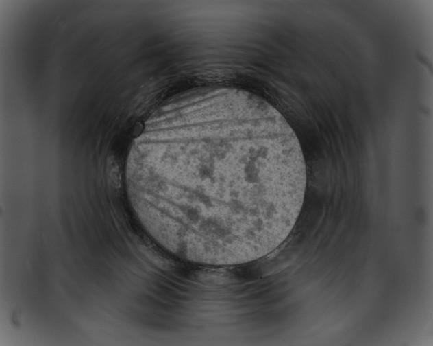 X0000096950086200802291107