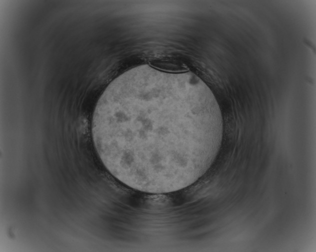 X0000096950087200802291107