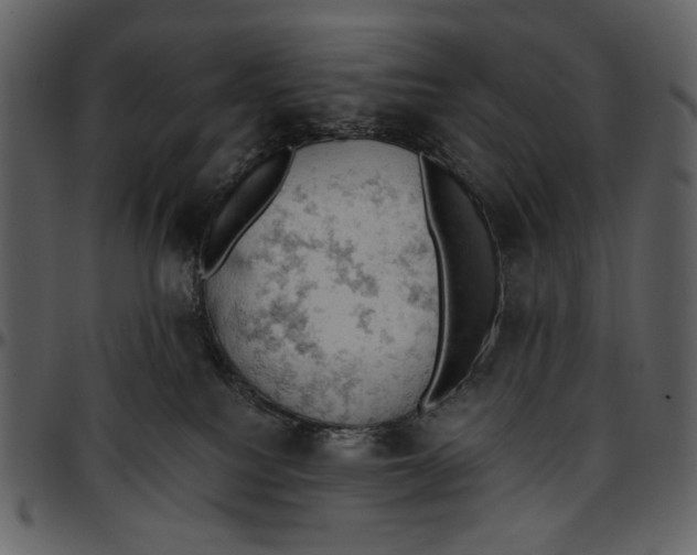 X0000096950088200802291107