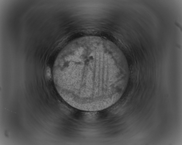 X0000096950089200802291107