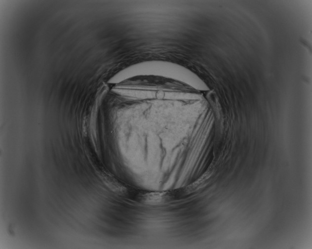 X0000096950090200802291107
