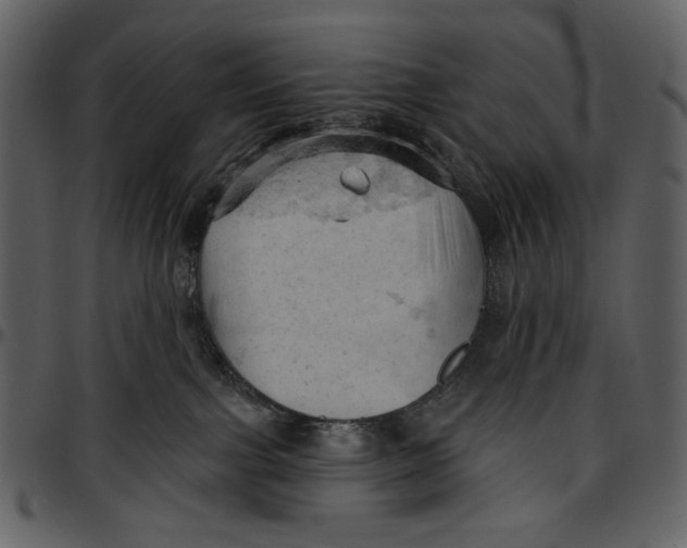 X0000096950091200802291107