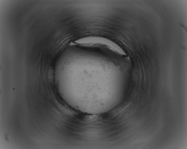 X0000096950092200802291107