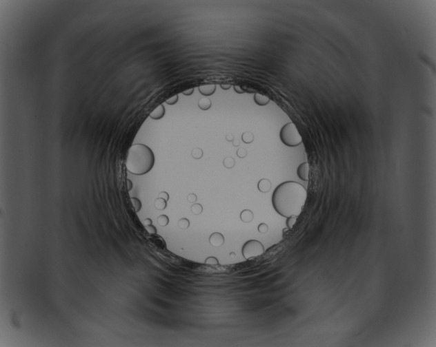 X0000096950093200802291107