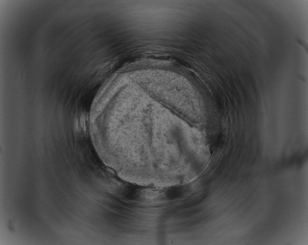X0000096950094200802291107