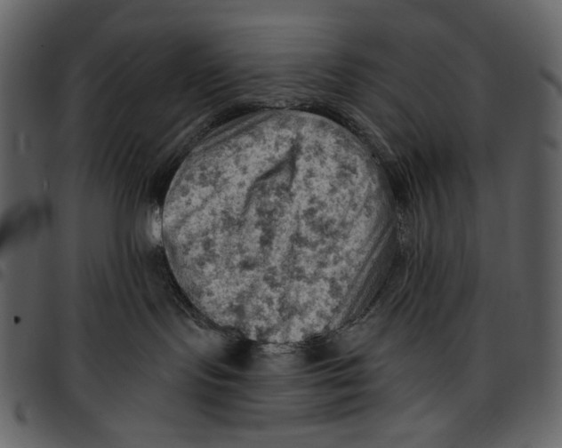 X0000096950095200802291107