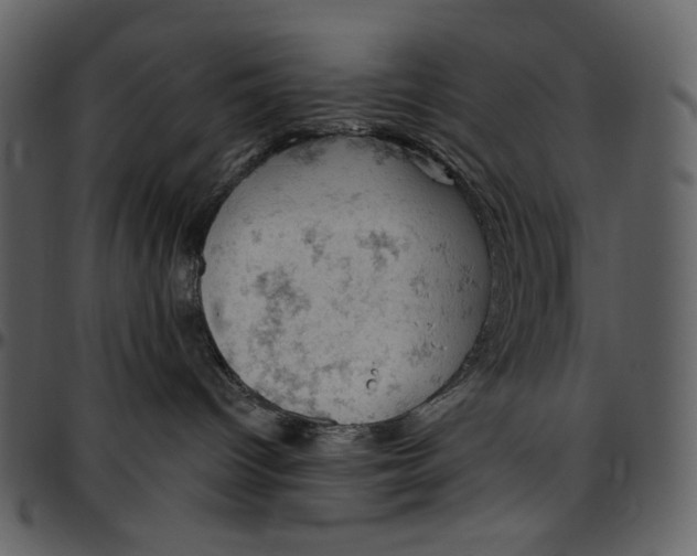 X0000096950096200802291107
