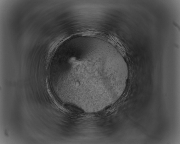 X0000096950097200802291106
