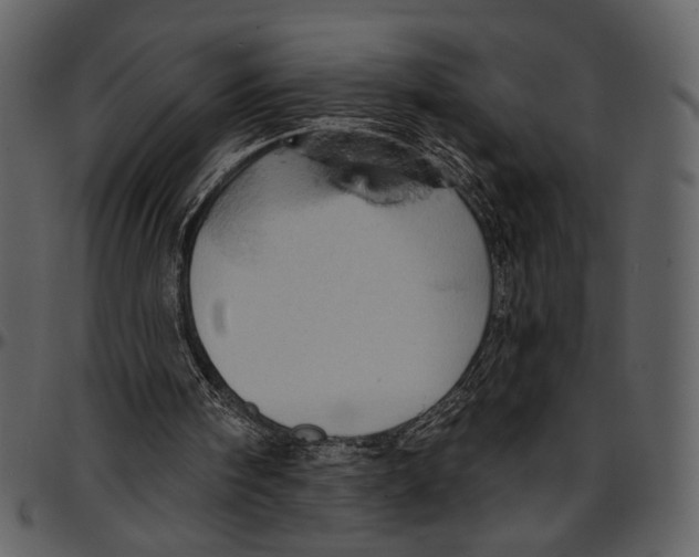 X0000096950098200802291106