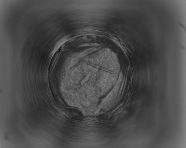 X0000096950099200802291106