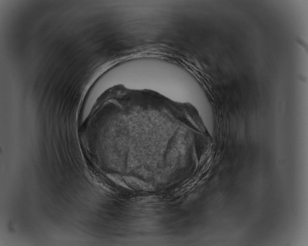 X0000096950100200802291106