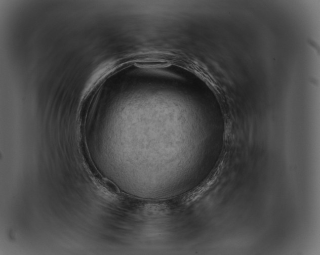 X0000096950101200802291106