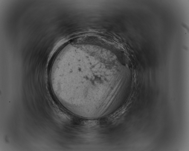 X0000096950102200802291106